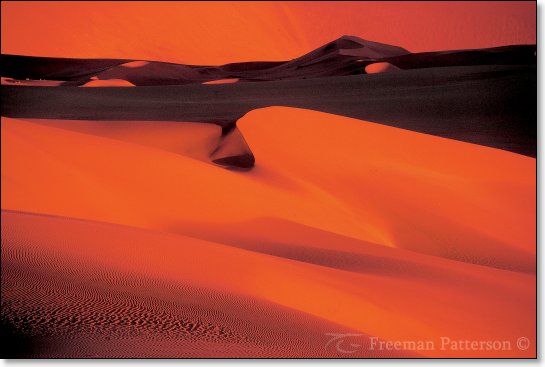 Sunset Dunes - By Freeman Patterson