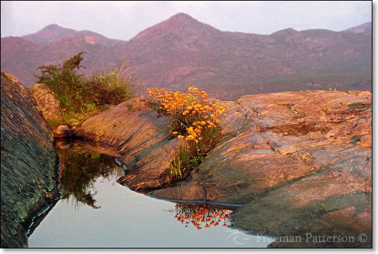 Mountain Pool, Namaqualand - By Freeman Patterson